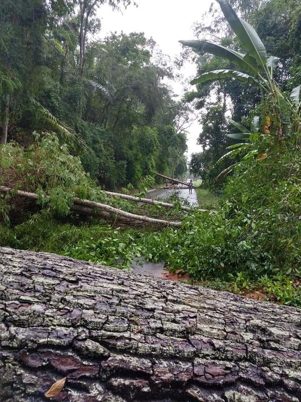 Temporal causa transtornos e provoca estragos em Colatina por Internauta
