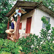 Imagem - O cientista do cafezal: jovem constrói laboratório em São Domingos do Norte