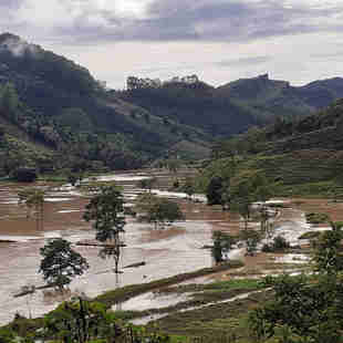 Imagem - Chuvas deixam desabrigados e desalojados no ES