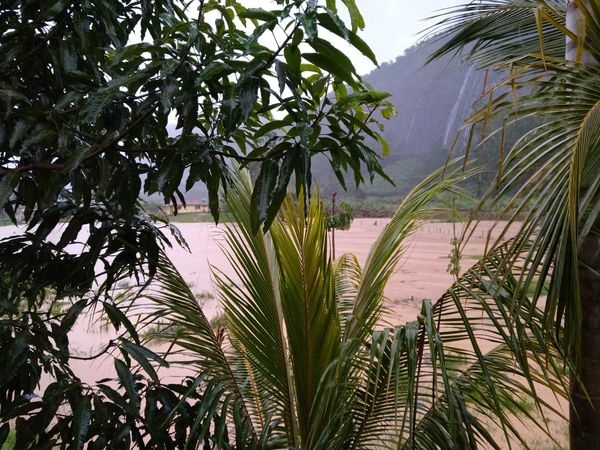 Chuva causa estragos nas comunidades de Pombal de Cima e Alto Pombal em Vargem Alta por Otávio Fiorin Panetto