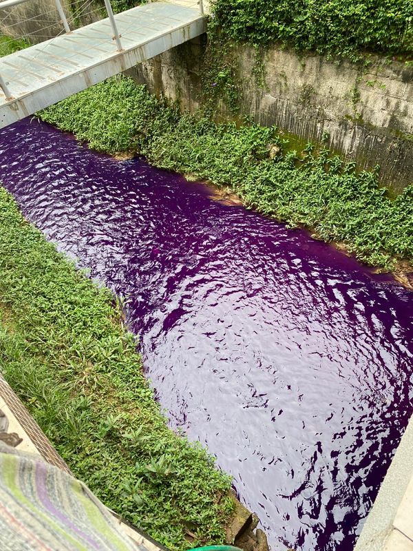 Rio aparece com coloração roxa em Santa Maria de Jetibá. Crédito: Internauta