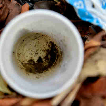 Imagem - Em seis meses, Brasil já registra 130% mais mortes por dengue