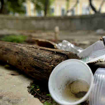 Imagem - Pessoas buscam reduzir geração de lixo e o impacto ao meio ambiente