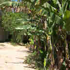 Imagem - Bairro mais violento do ES tem mais de dois assassinatos por mês