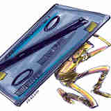 Imagem - O que fazer com as contas e como renegociar contratos agora na crise