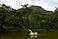 Data: 14/01/2020 - ES - Cariacica - Estância Vale do Moxuara, em Cariacica - Opções de turismo rural para curtir nas férias - Editoria: Cidades- Fernando Madeira - GZ
