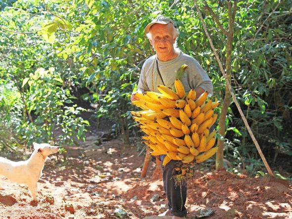 Benedito Teixeira Fraga, de 65 anos, ou seu Bino, vive em meio à natureza no Mestre Álvaro.  por Edson Reis