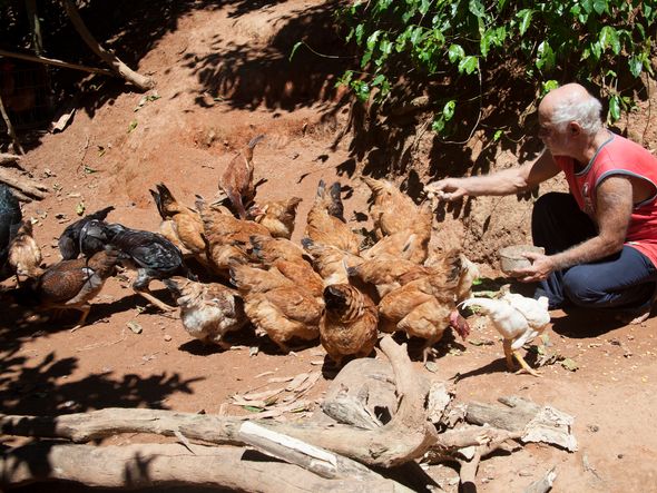 Benedito Teixeira Fraga, de 65 anos, ou seu Bino, vive em meio à natureza no Mestre Álvaro.  por Edson Reis