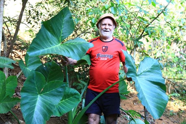 Benedito Teixeira Fraga, de 65 anos, ou seu Bino, vive em meio à natureza no Mestre Álvaro. . Crédito: Edson Reis