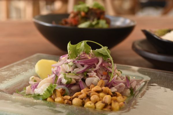 Ceviche de peixe do restaurante Solar da Praia, em Iriri por Carlos Alberto Silva