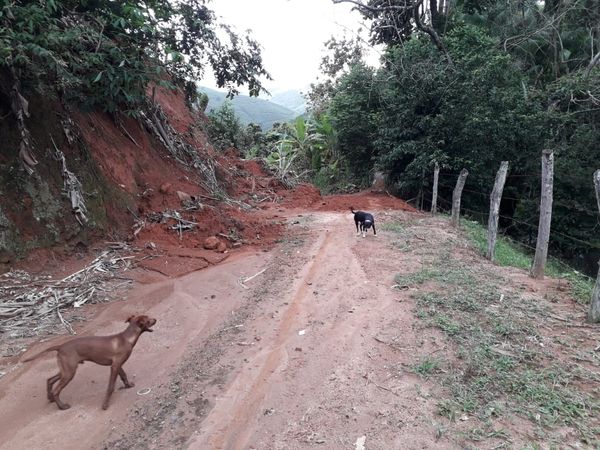 Corretor de imóveis de Jardim Camburi fica isolado em sítio em Alfredo Chaves por Oscar Carneiro