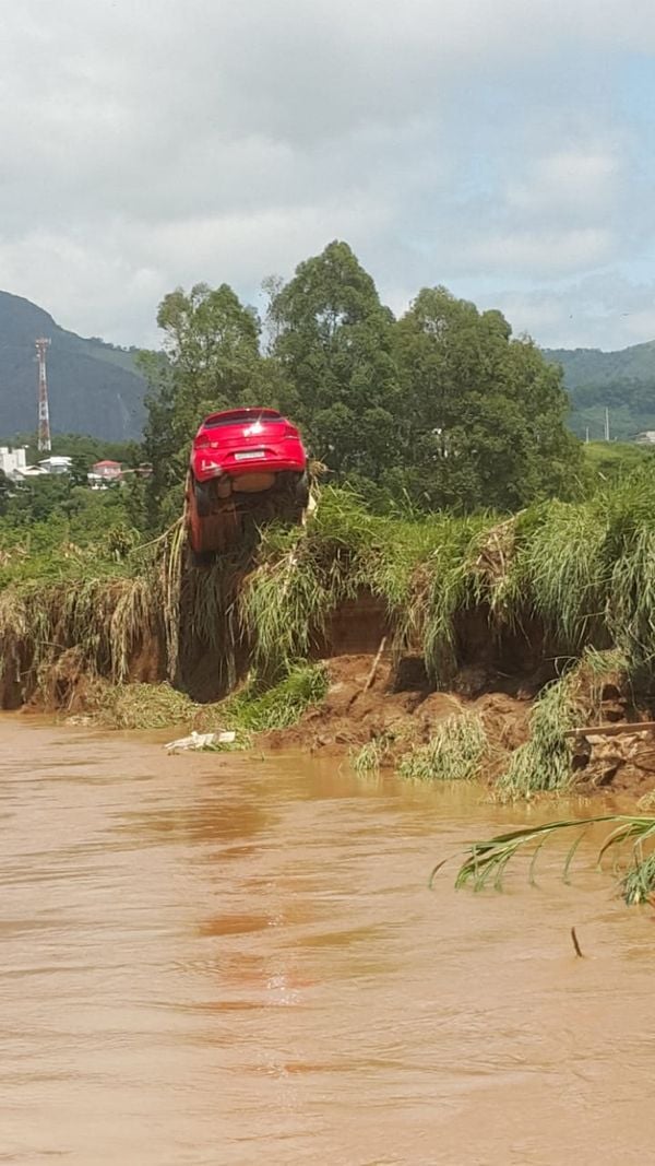Durante percurso no rio, advogado flagrou cena de destruição por Magno Martins