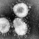 Amostra laboratorial do coronavírus, que pode causar desde resfriados comuns até SARS e MERS