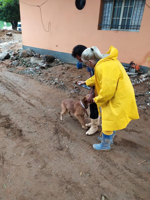 undefined por GRAD (Grupo de Resgate de animais em desastres)