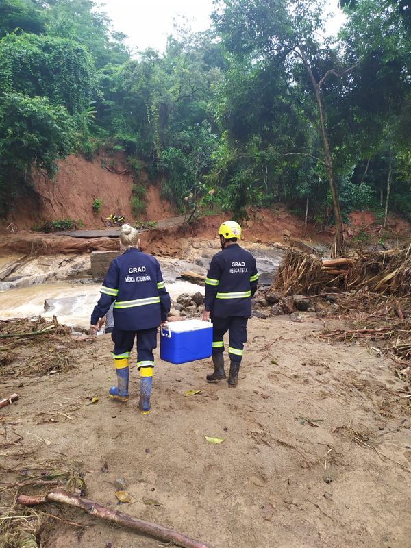 undefined por GRAD (Grupo de Resgate de animais em desastres)