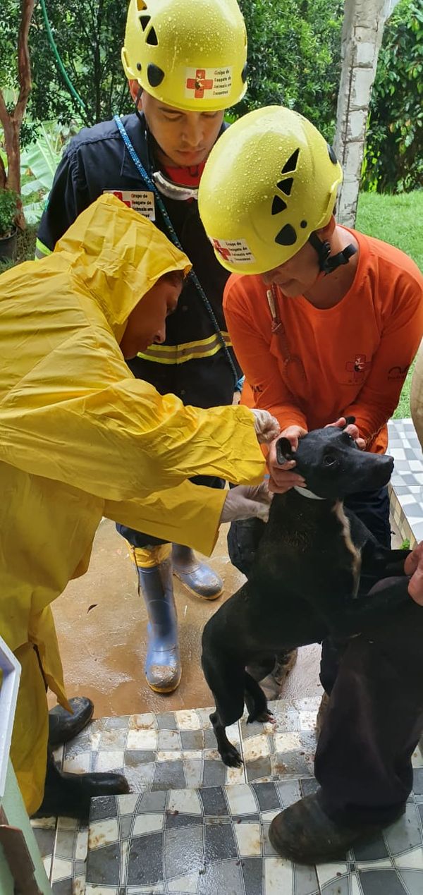 undefined por GRAD (Grupo de Resgate de animais em desastres)