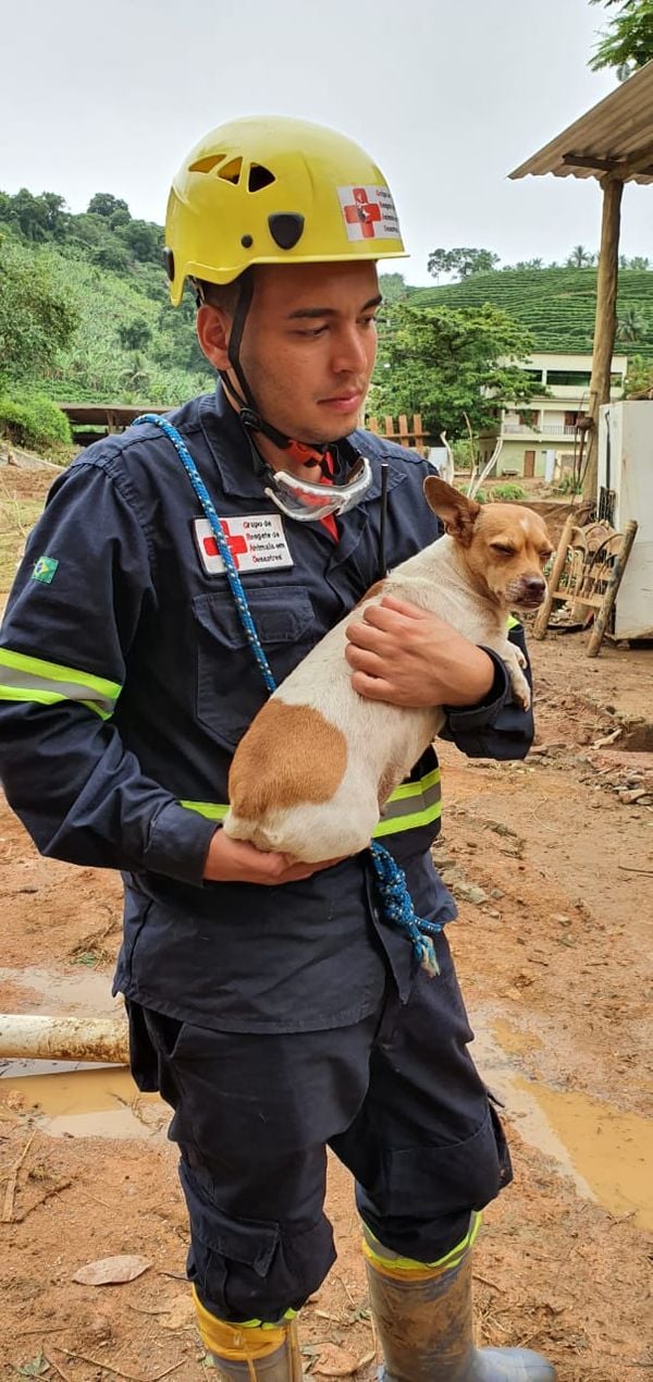 Resgate de animais no Sul do Estado. Crédito: GRAD (Grupo de Resgate de animais em desastres)