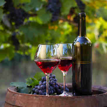 Imagem - Cursos ensinam a degustar ou escolher um vinho sem sair de casa