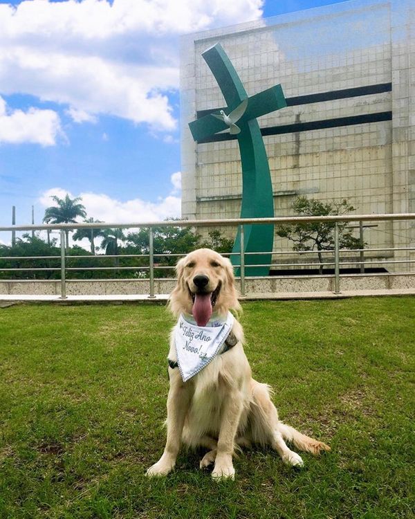 Link na Praça do Papa. Crédito: Divulgação