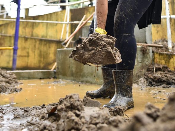Voluntários se unem em mutirão de limpeza em Iconha   por Vinicius Gonçalves