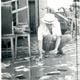 Em 1979, água invadiu casas e comércios de Colatina; prejuízo foi tido como "incalculável" na época