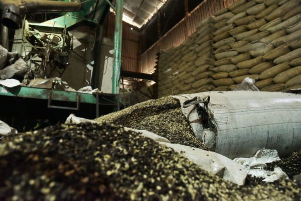 Armazém de grãos de café, em Iúna, foi inundado durante as chuvas que castigaram o Estado  por Fernando Madeira