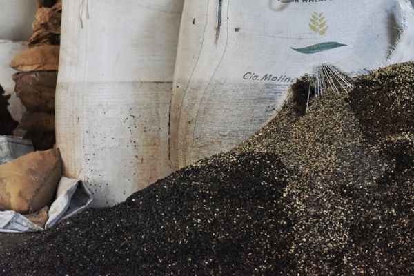 Armazém de grãos de café, em Iúna, foi inundado durante as chuvas que castigaram o Estado  por Fernando Madeira