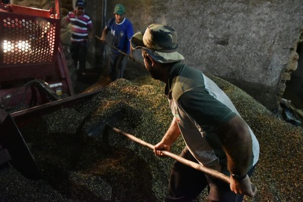 Armazém de grãos de café, em Iúna, foi inundado durante as chuvas que castigaram o Estado  por Fernando Madeira