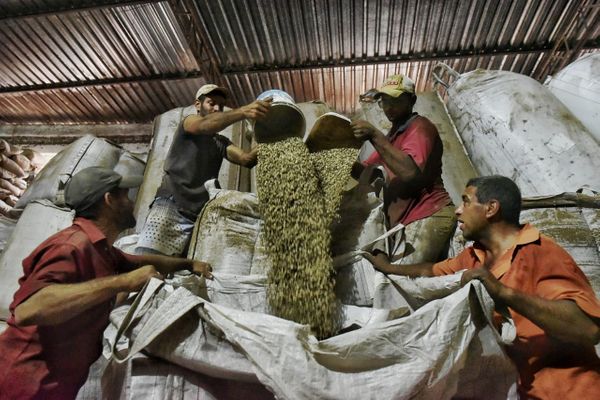 Armazém de grãos de café, em Iúna, foi inundado durante as chuvas que castigaram o Estado  por Fernando Madeira