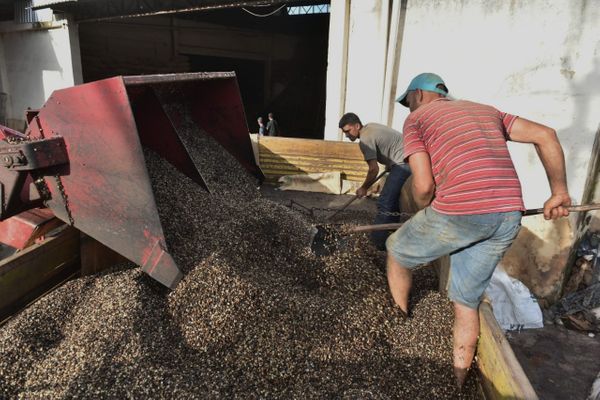 Armazém de grãos de café, em Iúna, foi inundado durante as chuvas que castigaram o Estado  por Fernando Madeira