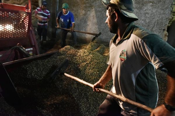 Armazém de grãos de café, em Iúna, foi inundado durante as chuvas que castigaram o Estado  por Fernando Madeira
