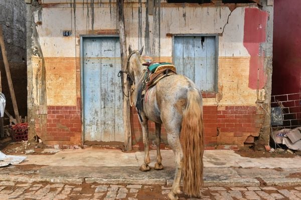 Itaici, zona rural de Muniz Freire, fortemente afetada pelas chuvas por Fernando Madeira
