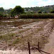 Imagem - Agricultores de Colatina registram prejuízos após cheia do Rio Doce