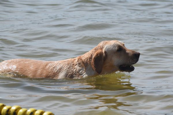 Praia da Guarderia em Vitória por Ricardo Medeiros