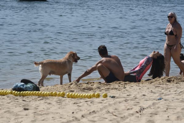 Praia da Guarderia em Vitória por Ricardo Medeiros