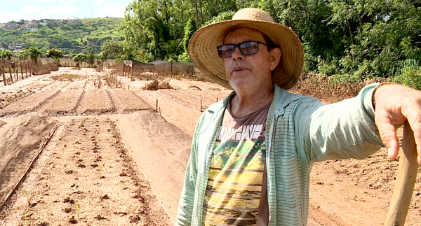 Edinir Antônio Fachetti perdeu mais 90% da sua plantação. Crédito: Reprodução/ Tv Gazeta Noroeste