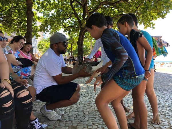 Crianças brincam com a gansa Bebê, na Praia da Costa. Crédito: Adalberto Cordeiro