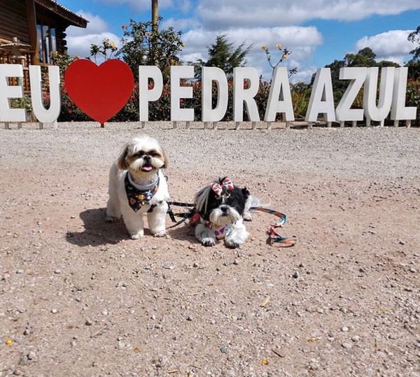 Oliver e vida posaram nas montanhas capixabas. . Crédito: Divulgação