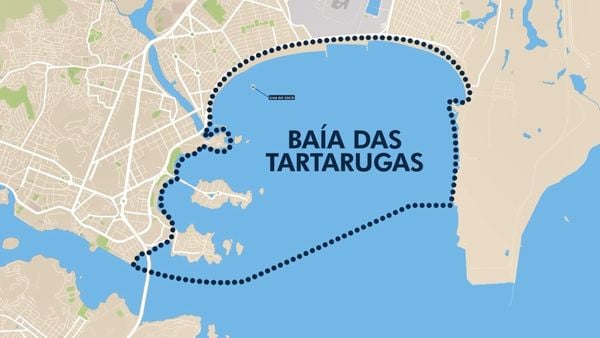 Área de protenção ambiental é conhecida como Baía das Tartarugas, no ES