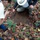 Imagem - Passeio resulta em descoberta arqueológica no Parque Paulo César Vinha