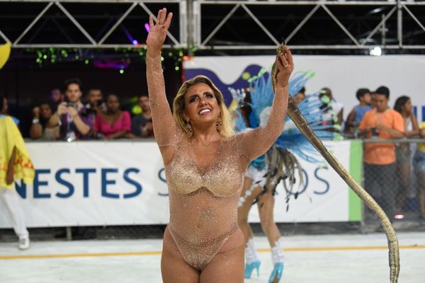 Homenageando Luz Del Fuego e com Rita Cadillac na composição, Chega Mais completa 40 anos de fundação por Ricardo Medeiros