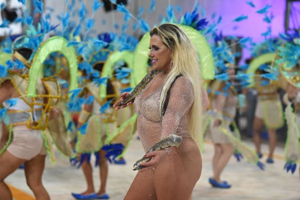 Homenageando Luz Del Fuego e com Rita Cadillac na composição, Chega Mais completa 40 anos de fundação por Ricardo Medeiros
