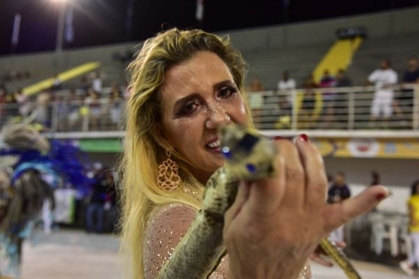 Homenageando Luz Del Fuego e com Rita Cadillac na composição, Chega Mais completa 40 anos de fundação por Rodrigo Gavini