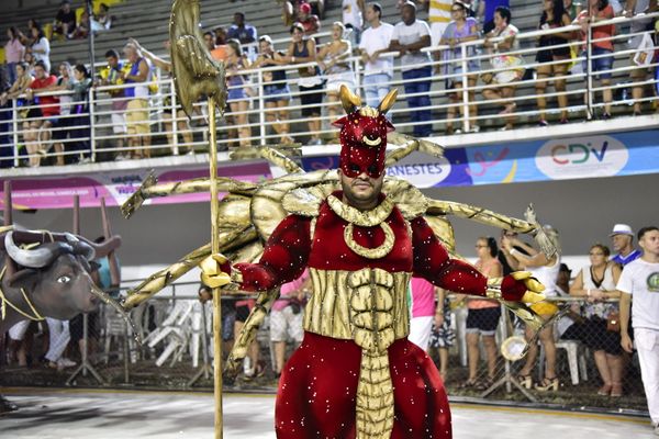 Rosas de Ouro, escola de samba da Serra, fala sobre a luta do povo negro  por Rodrigo Gavini