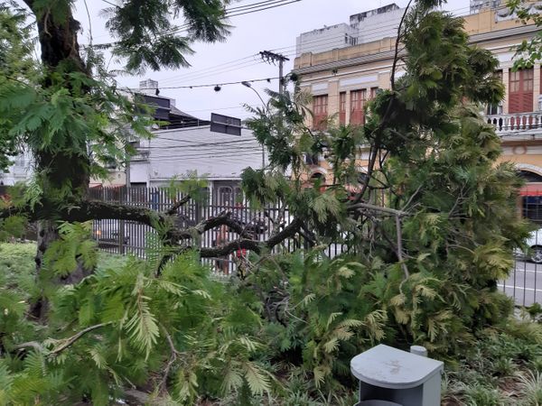 undefined por Geraldo Nascimento