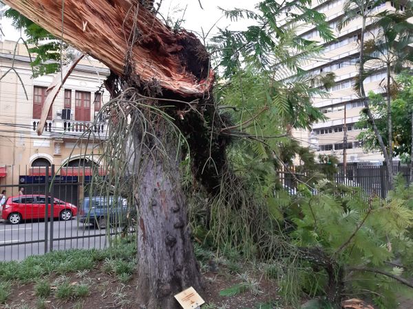 undefined por Geraldo Nascimento