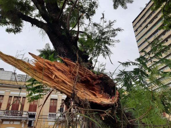 undefined por Geraldo Nascimento