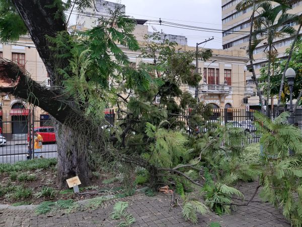 undefined por Geraldo Nascimento