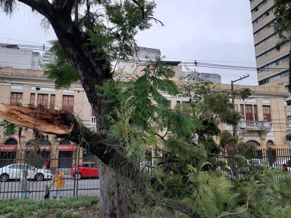 undefined por Geraldo Nascimento