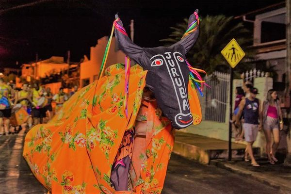 Blocos tradicionais embalam o carnaval de Itarana - Boi Juruba por Prefeitura Municipal de Itarana / Divulgação